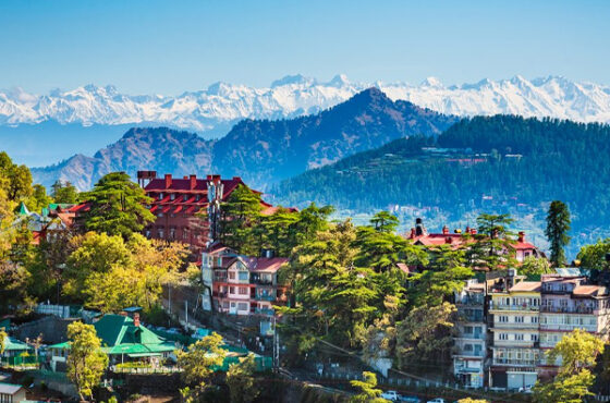 Shimla with Jibhi & Manali Tour