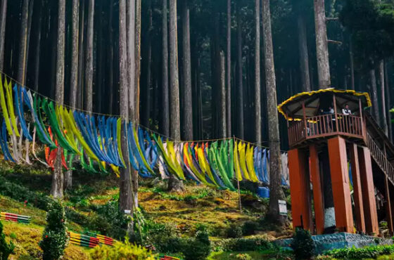 Darjeeling 3 Night/ 4 Days Tour Package