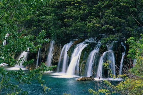 Mussoorie with Kanatal (Via Dhanaulti), Tehri & Rishikesh Tour