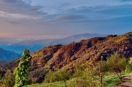 Nainital and Mukteshwar Tour