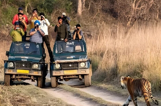 Nainital and Corbett Tour Package