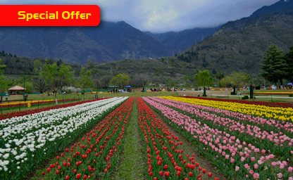 Kashmir Tour Packages From Ahmedabad