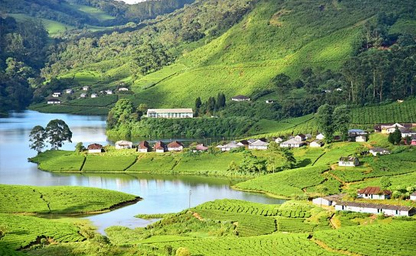 Best Munnar with Thekkady, Alleppey & Cherai Tour