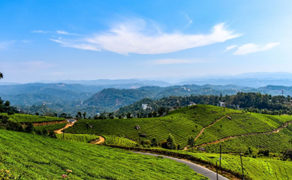 Munnar with Thekkady, Alleppey & Cherai Tour