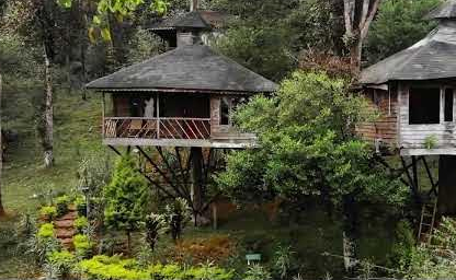 Munnar with Alleppey & Kovalam Package