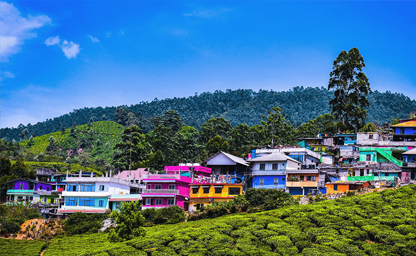 Munnar with Alleppey & Kovalam Tour