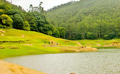 Munnar and Alleppey Honeymoon Tour